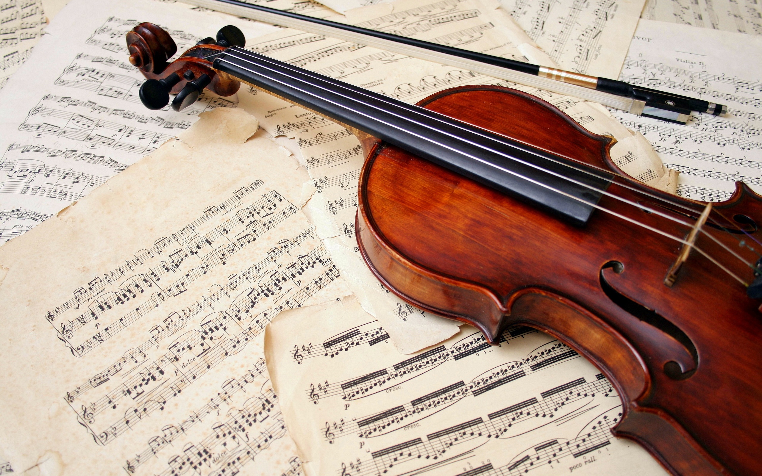 Picture of a violin